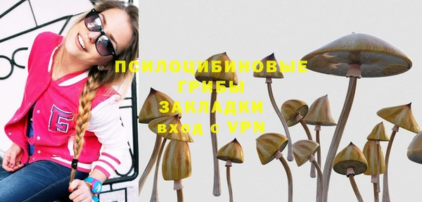 мескалин Баксан