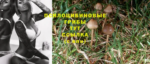 MDMA Богданович